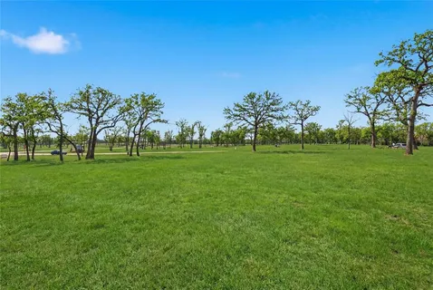 a grassy field with trees in the background