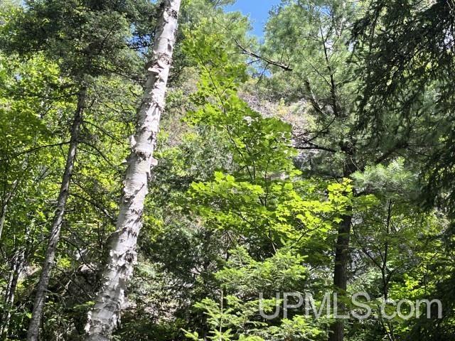 20-acres Willow Creek Road Negaunee, MI 49866 - Photo 9 of 17