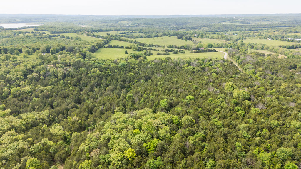 1 Horseshoe Bnd Road Lead Hill, AR 72644 - Photo 16 of 46 Expansive acreage featuring dense woodlands and open grassy fields