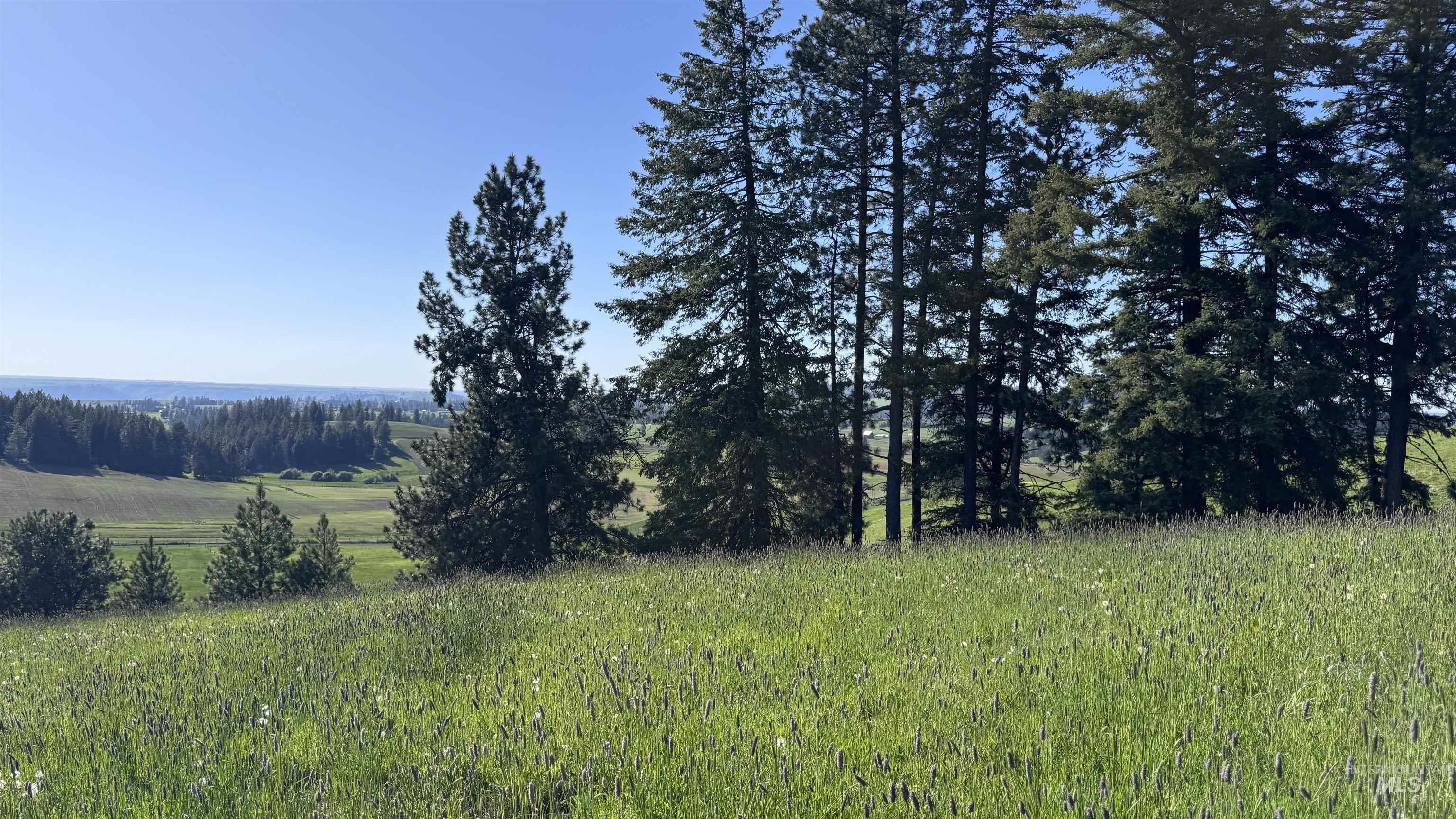 Tbd Harrisburg Road Kamiah, ID 83536 - Photo 32 of 50