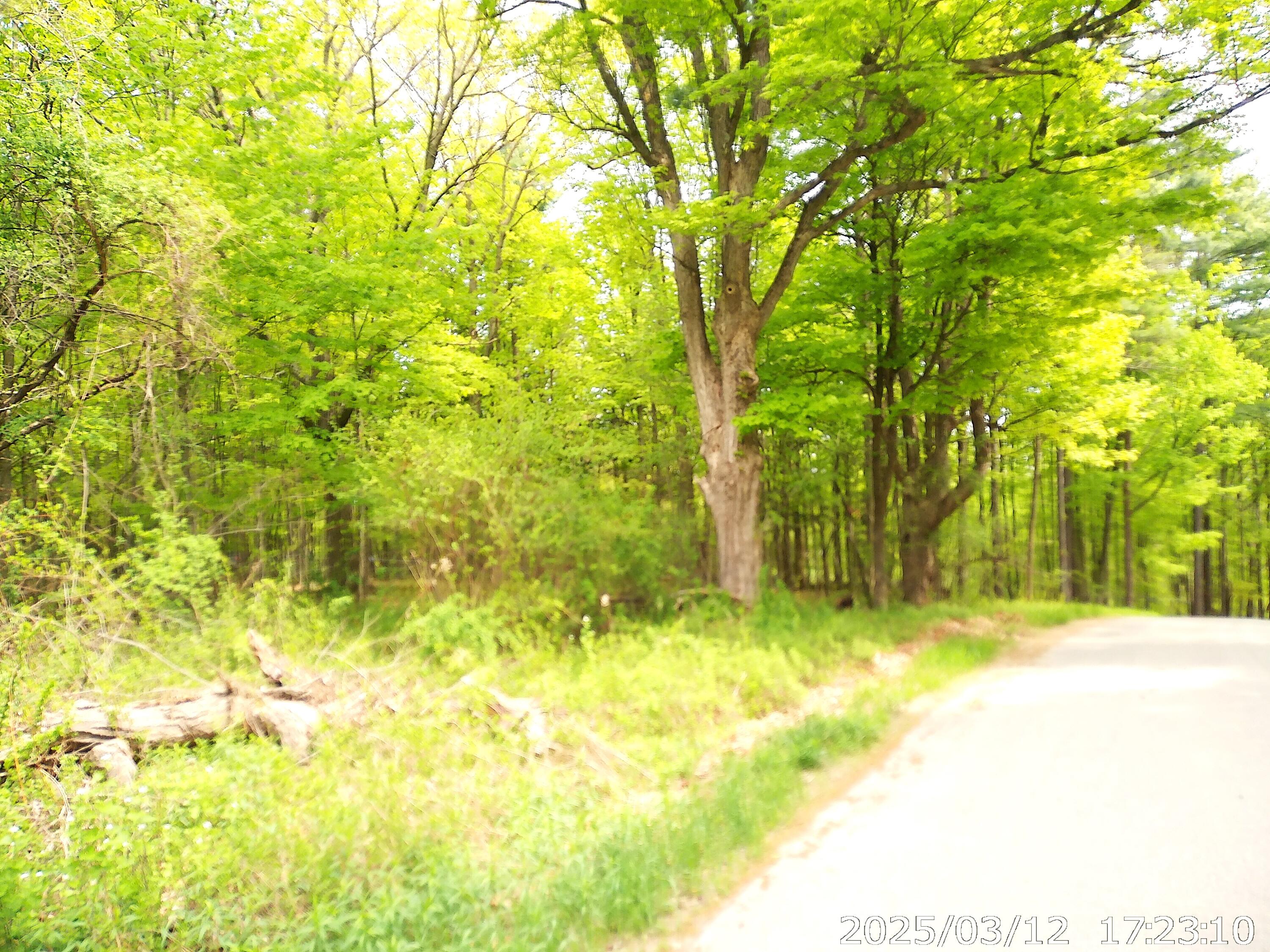 0 Barksdale Road Westport, NY 12993 - Photo 1 of 12