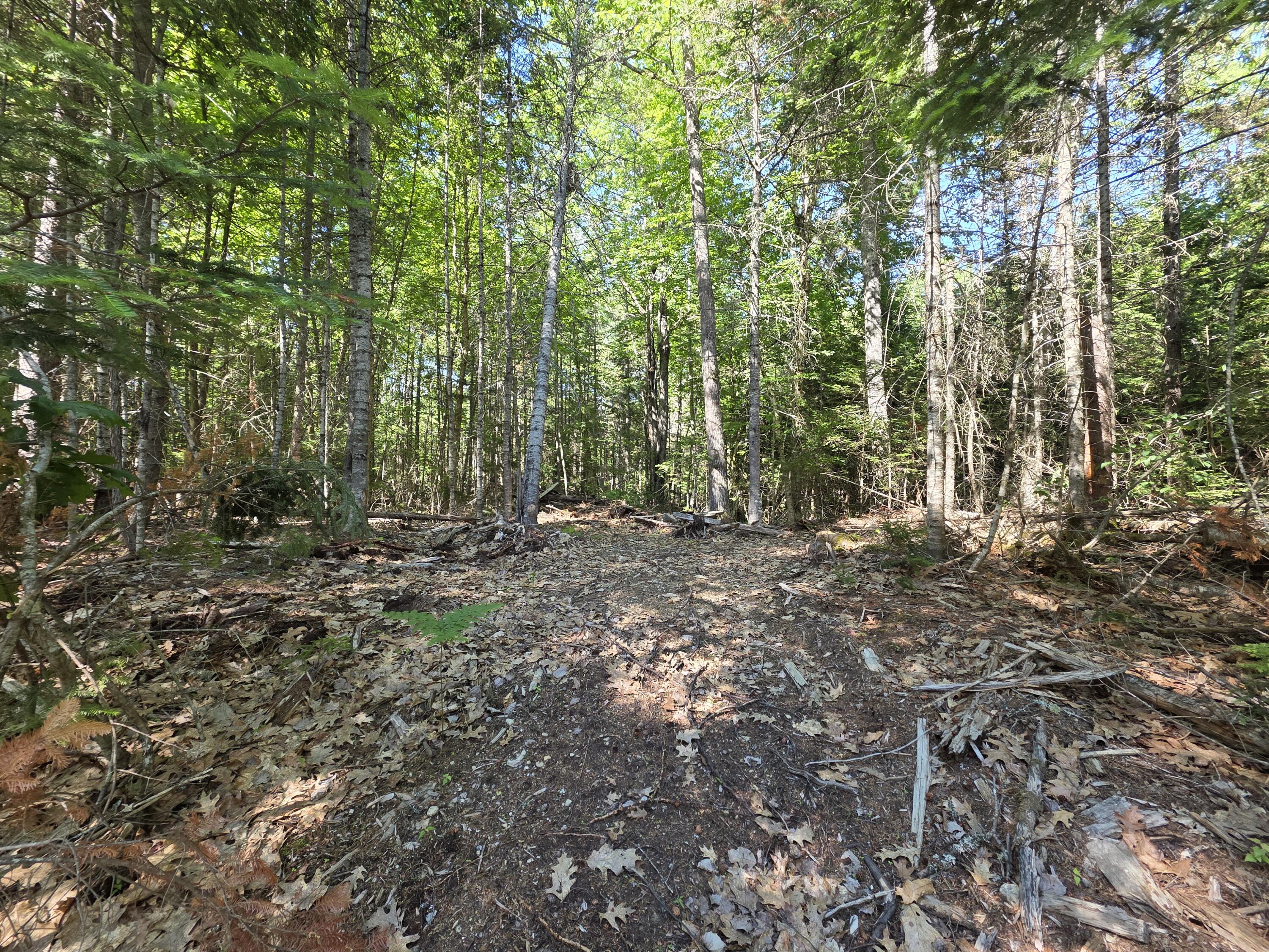 458 Point Road Ellsworth, ME 04605 - Photo 2 of 6