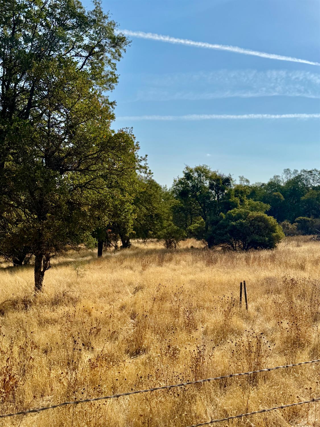 0 Lila Lane Rescue, CA 95672 - Photo 2 of 22 Lower meadow