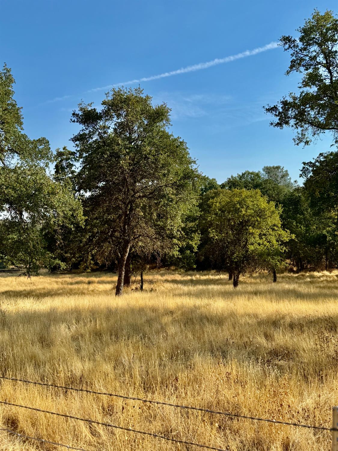 0 Lila Lane Rescue, CA 95672 - Photo 21 of 22