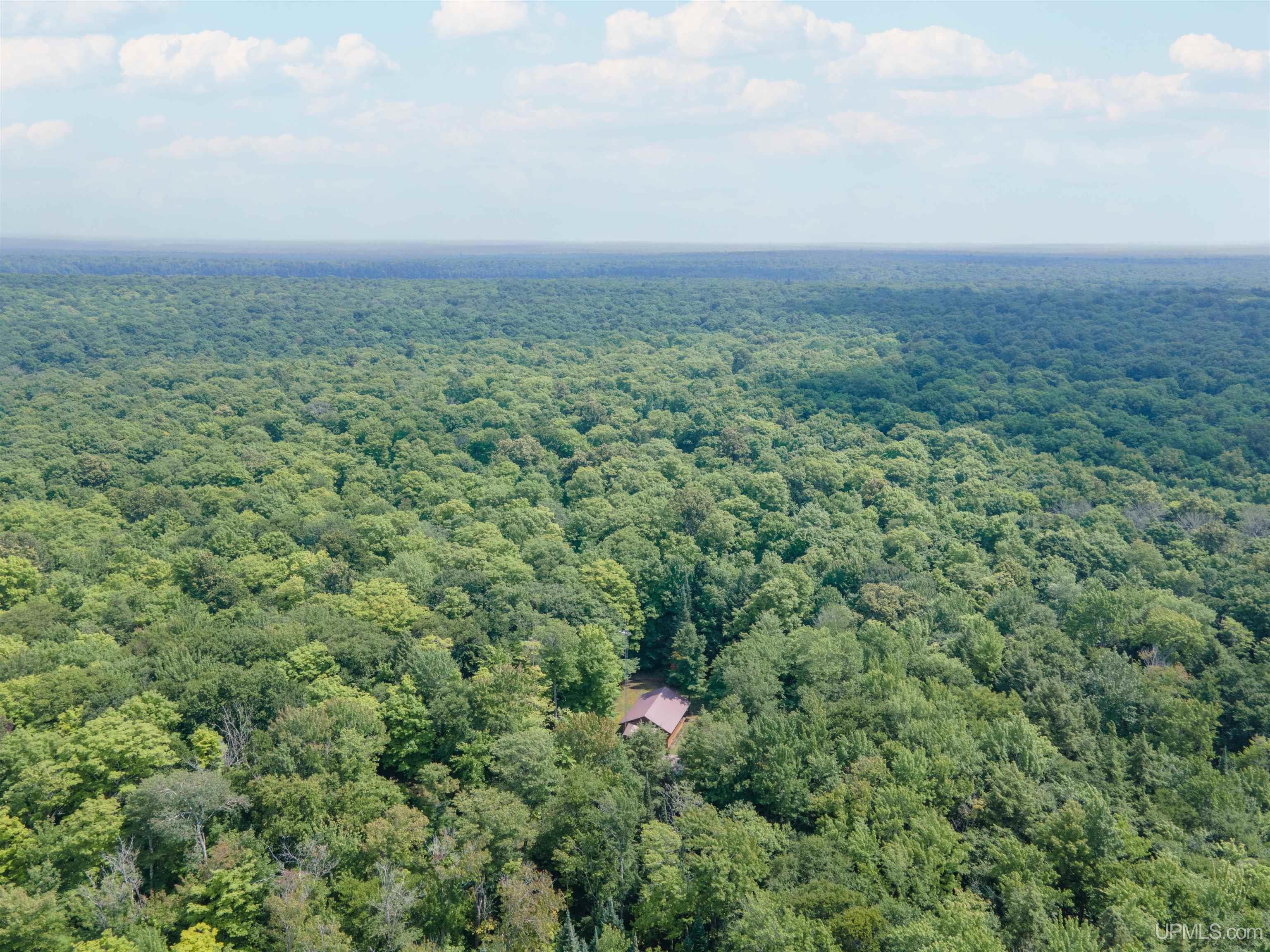 436 Federal Forest 3920 Road Iron River, MI 49935 - Photo 19 of 20