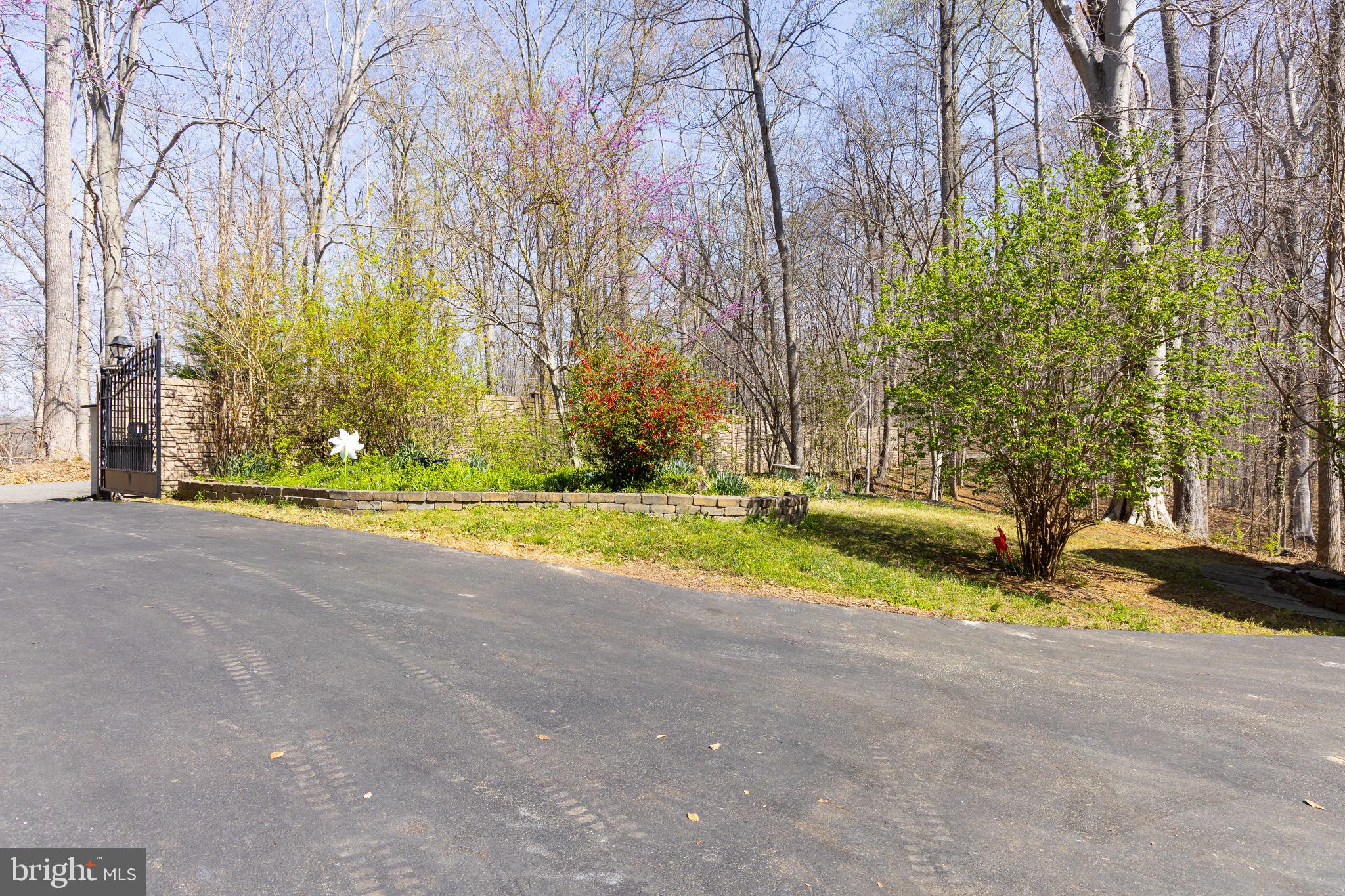 8701 Sinclair Mill Road Manassas, VA 20112 - Photo 7 of 130 Spring is springing