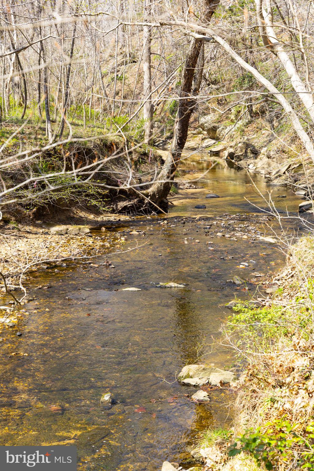 8701 Sinclair Mill Road Manassas, VA 20112 - Photo 89 of 130 Stream on the property goes to Lake Jackson & rive