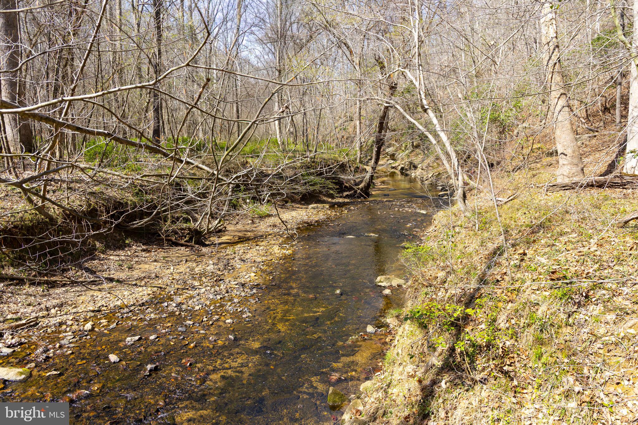 8701 Sinclair Mill Road Manassas, VA 20112 - Photo 90 of 130 Stream on the property goes to Lake Jackson & rive