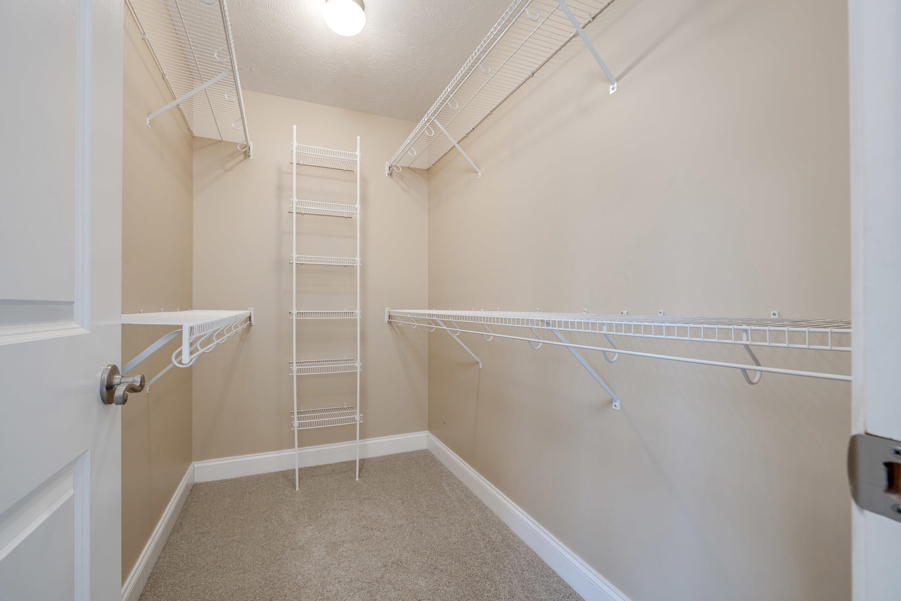2625 Rising Rock Court Harrisonburg, VA 22802 - Photo 28 of 73 The walk-in closet is located in the primary bedroom and features built-in shelving.