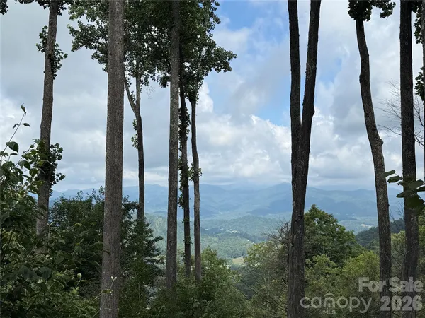 $775,000 | 528 Andrew Banks Road, Unit A/3, Burnsville, NC 28714