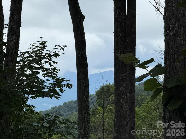 $775,000 | 528 Andrew Banks Road, Unit A/3, Burnsville, NC 28714