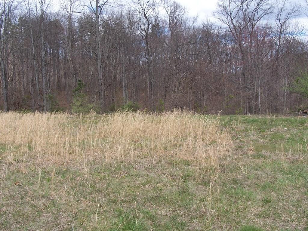 118 Brushy Ridge Road McKee, KY 40447 - Photo 2 of 3 Listing Photo