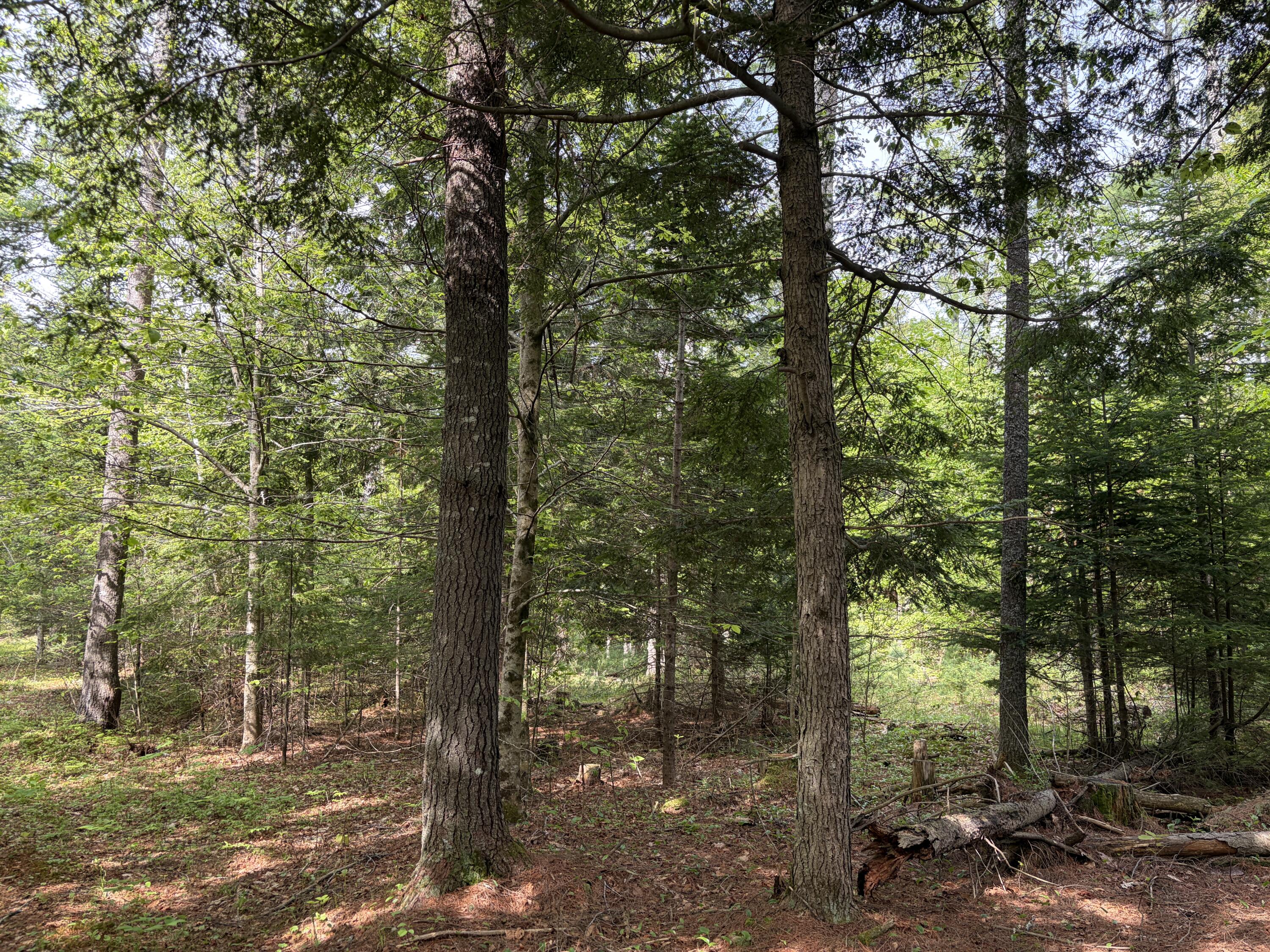 Lot 1 Waldoboro Road Washington, ME 04574 - Photo 5 of 39