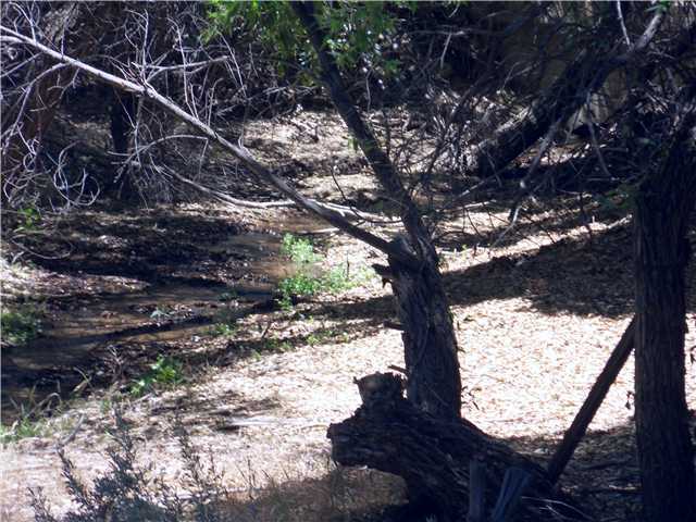 0 Miller Valley Road Pine Valley, CA 91962 - Photo 6 of 7 Gallery Image 6