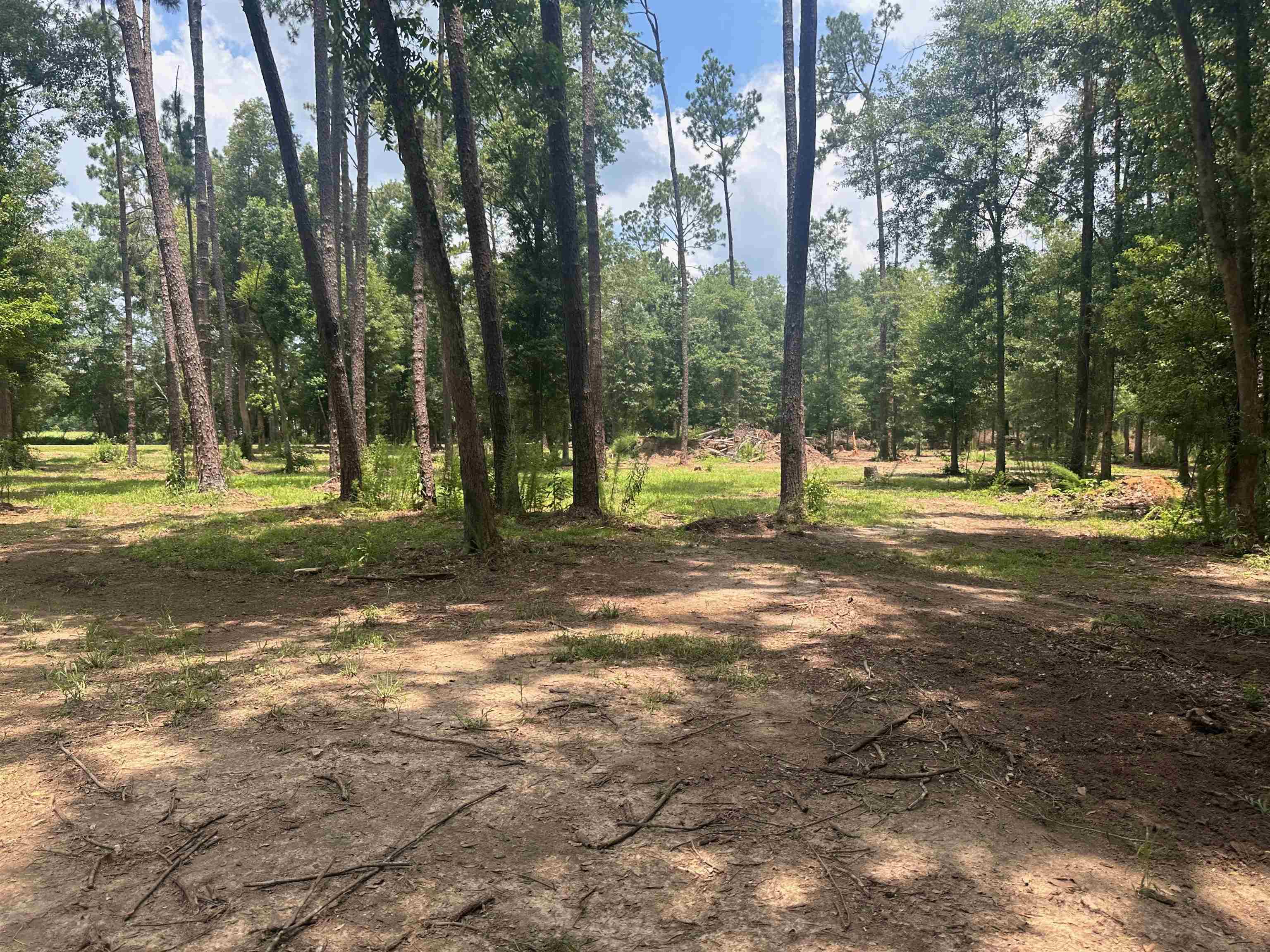 23040 Forland Road Silverhill, AL 36576 - Photo 5 of 13 View