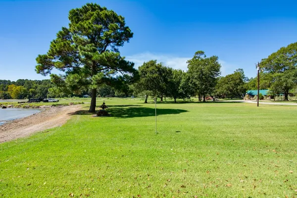 a view of swimming pool with a yard and a large tree
