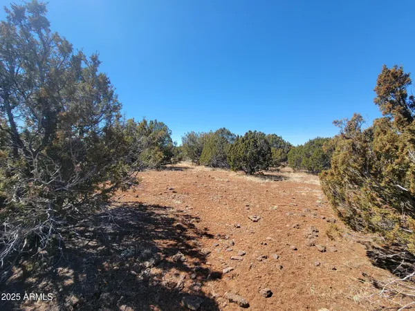 $7,499 | 57 County Road, Concho, AZ 85924