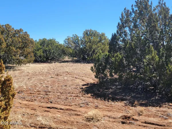 $7,499 | 57 County Road, Concho, AZ 85924
