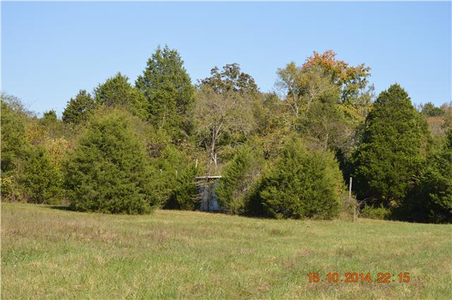 6937 Cross Keys Road College Grove, TN 37046 - Photo 9 of 19 Gallery Image 9
