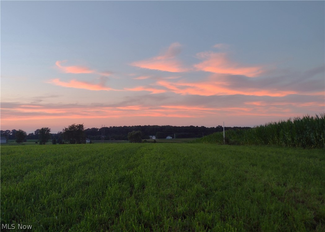 East Messner Road Apple Creek, OH 44606 - Photo 15 of 17