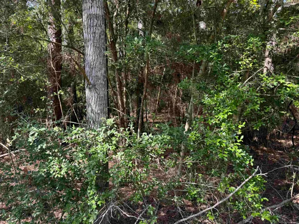 $15,000 | 291 Aztec, Brookeland, TX 75931