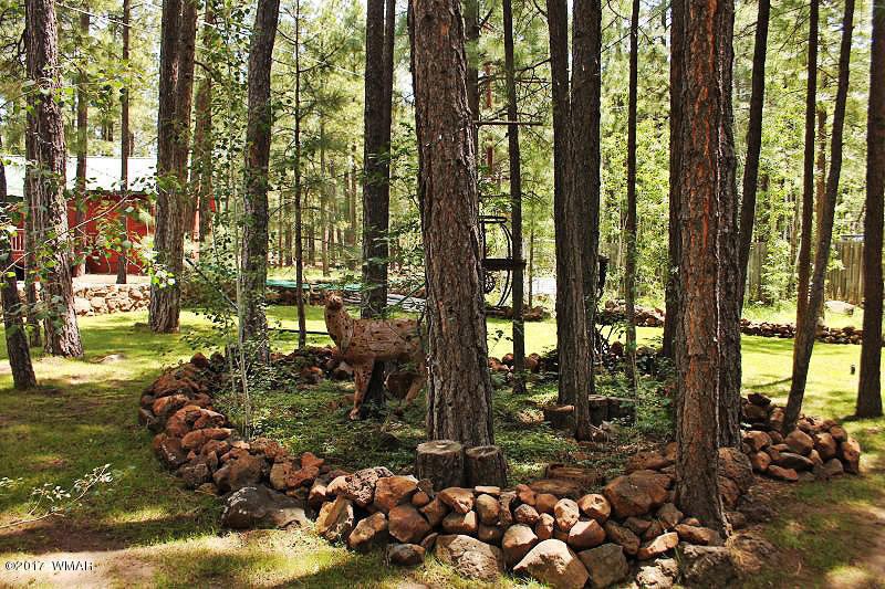 2425 Lupine Circle Pinetop, AZ 85935 - Photo 27 of 51