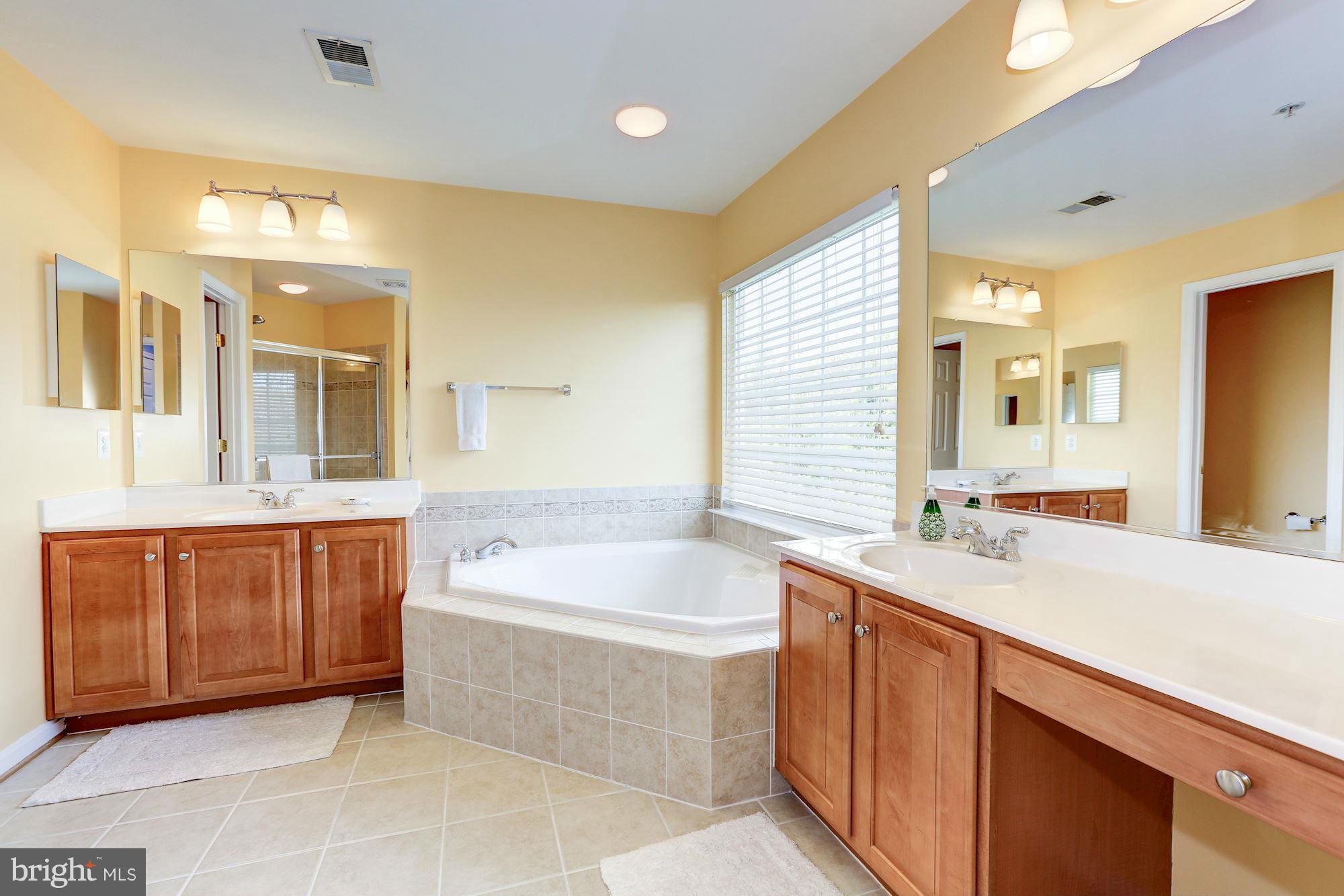 23103 Persimmon Ridge Road Clarksburg, MD 20871 - Photo 16 of 30 Master Bath