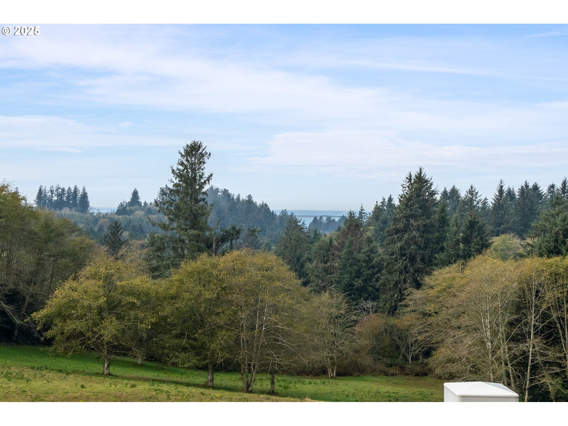 9500 Walz Hill Road Tillamook, OR 97141 - Photo 4 of 47 a view of a city with lush green forest