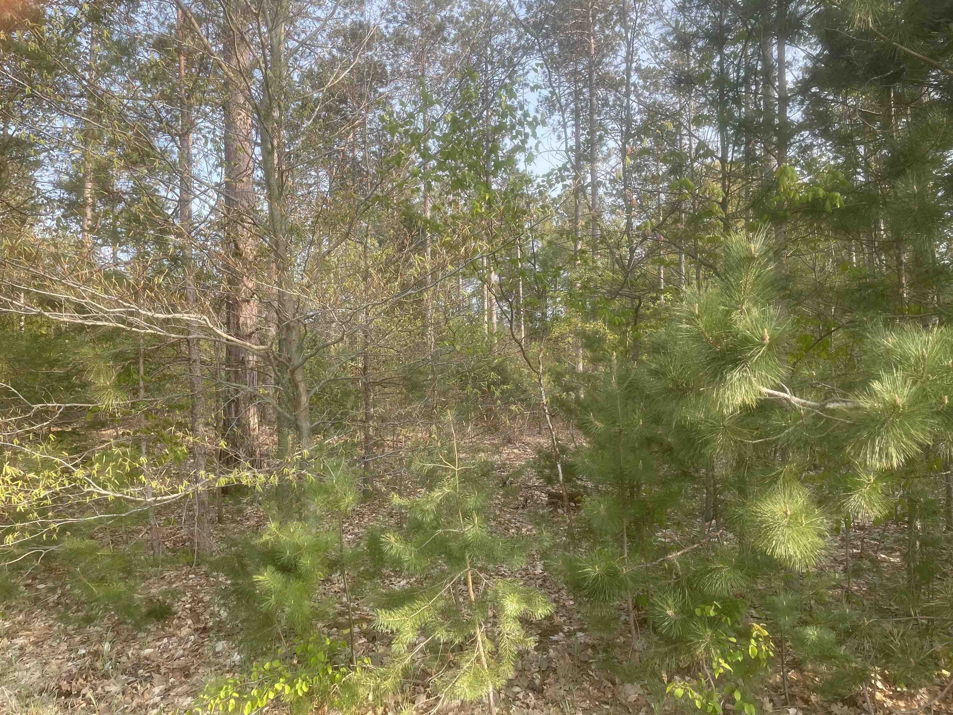 Lot I Lot I Riley, Unit LOT: I Interlochen, MI 49643 - Photo 4 of 5