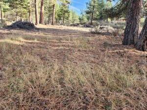 Pine Ridge Road Chiloquin, OR 97624 - Photo 3 of 7 20251110204058765547000000