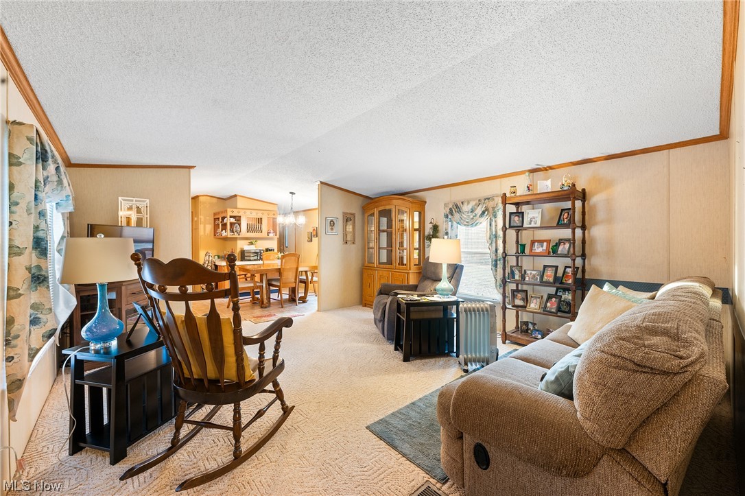 11579 Beard Road New Springfield, OH 44443 - Photo 3 of 22 Carpeted living room featuring ornamental molding, vaulted ceiling, radiator, and a textured ceiling
