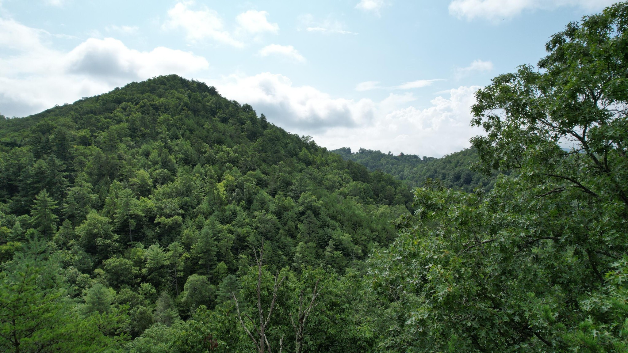 98 Black Powder Lane Sevierville, TN 37862 - Photo 20 of 30