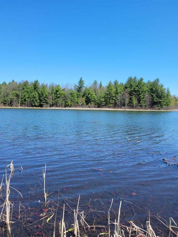 8-12 Forman Baldwin, MI 49304 - Photo 1 of 1