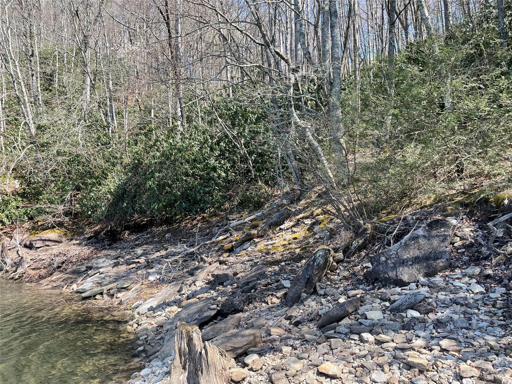 0 Vess Owens Road Tuckasegee, NC 28783 - Photo 8 of 9 Gallery Image 8