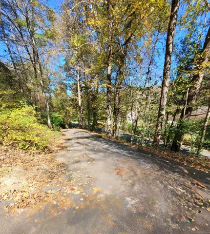 a view of empty yard with large trees