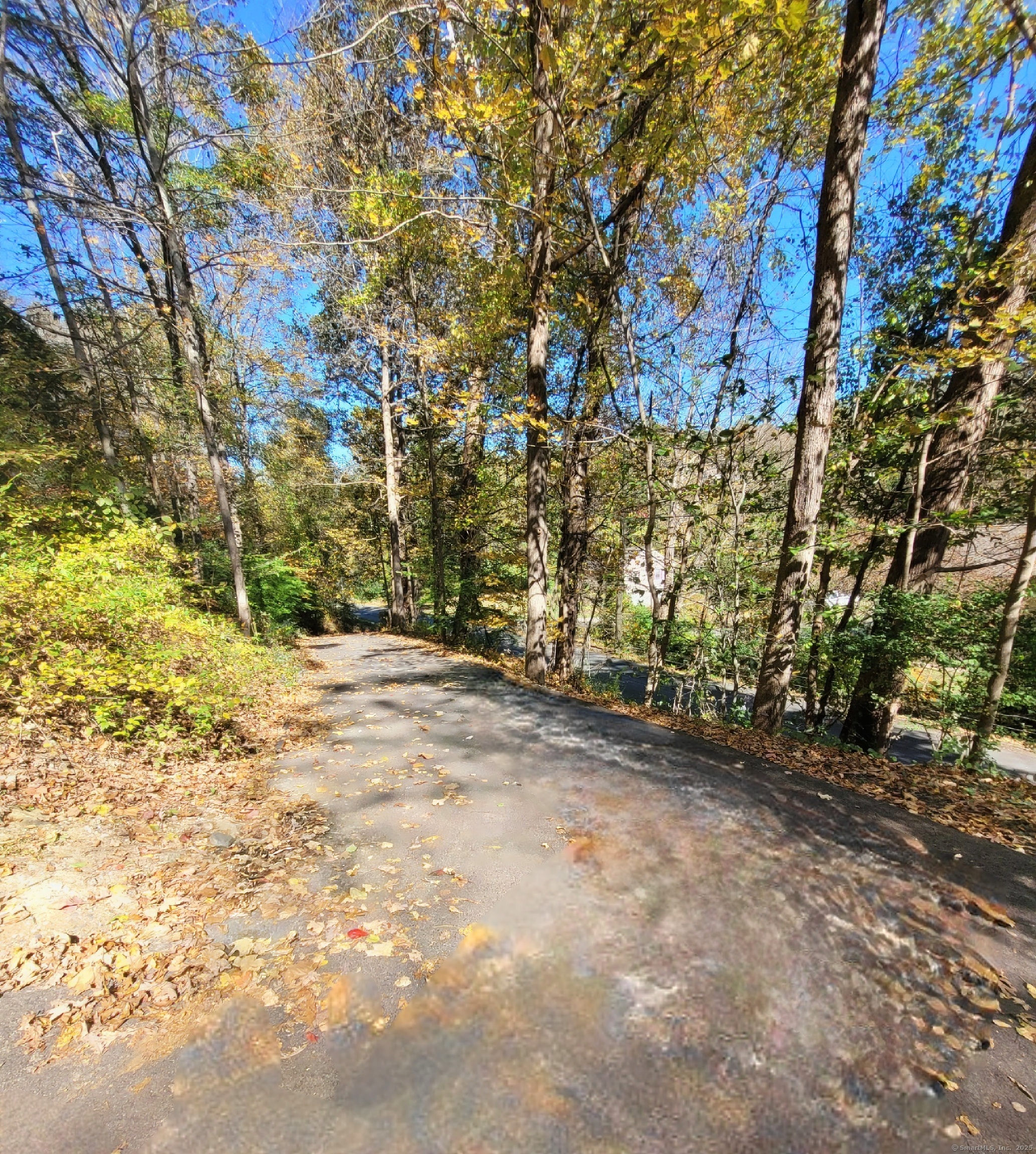 27 Paper Mill Road New Milford, CT 06776 - Photo 19 of 20 a view of empty yard with large trees
