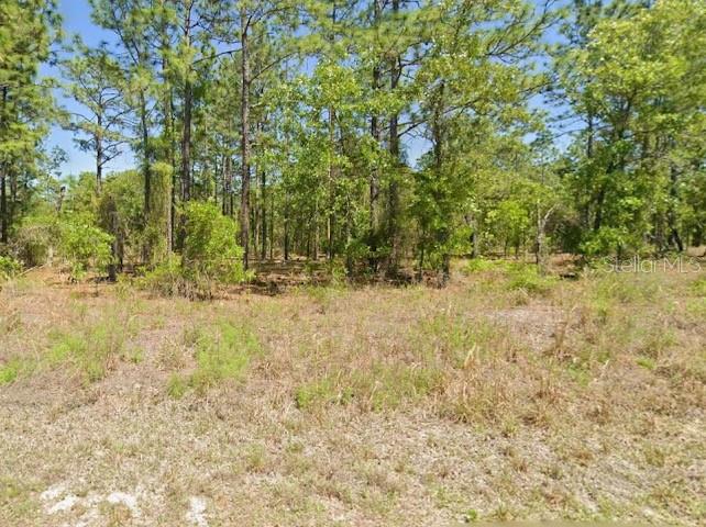 Southwest Harbor Hills Road Brooker, FL 32622 - Photo 2 of 5