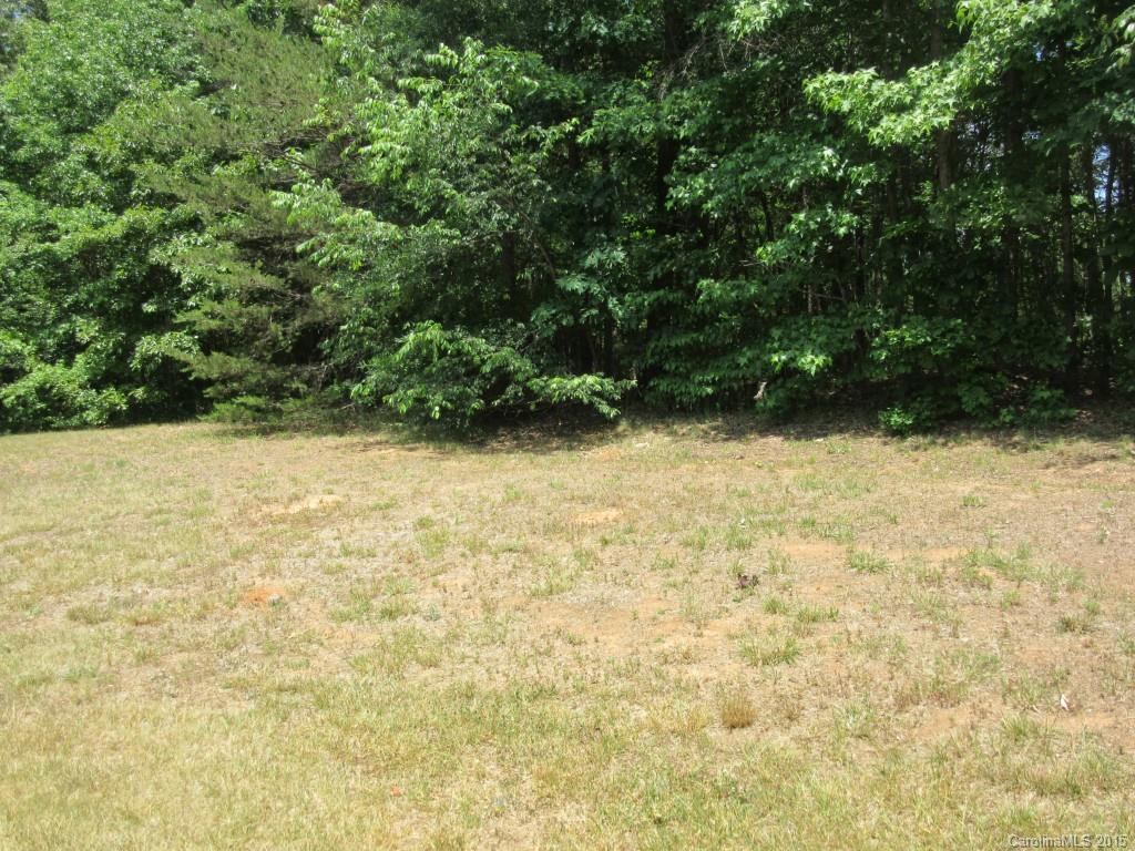 575 Russell Farm Road Kannapolis, NC 28081 - Photo 20 of 23 a view of wooden wall