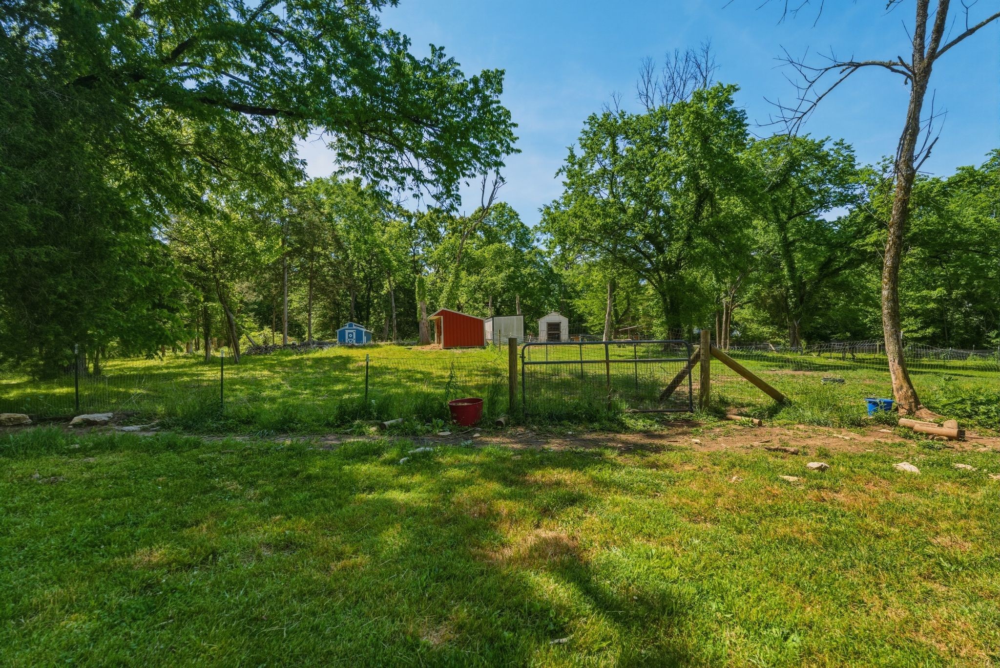 13535 Versailles Road Rockvale, TN 37153 - Photo 29 of 47
