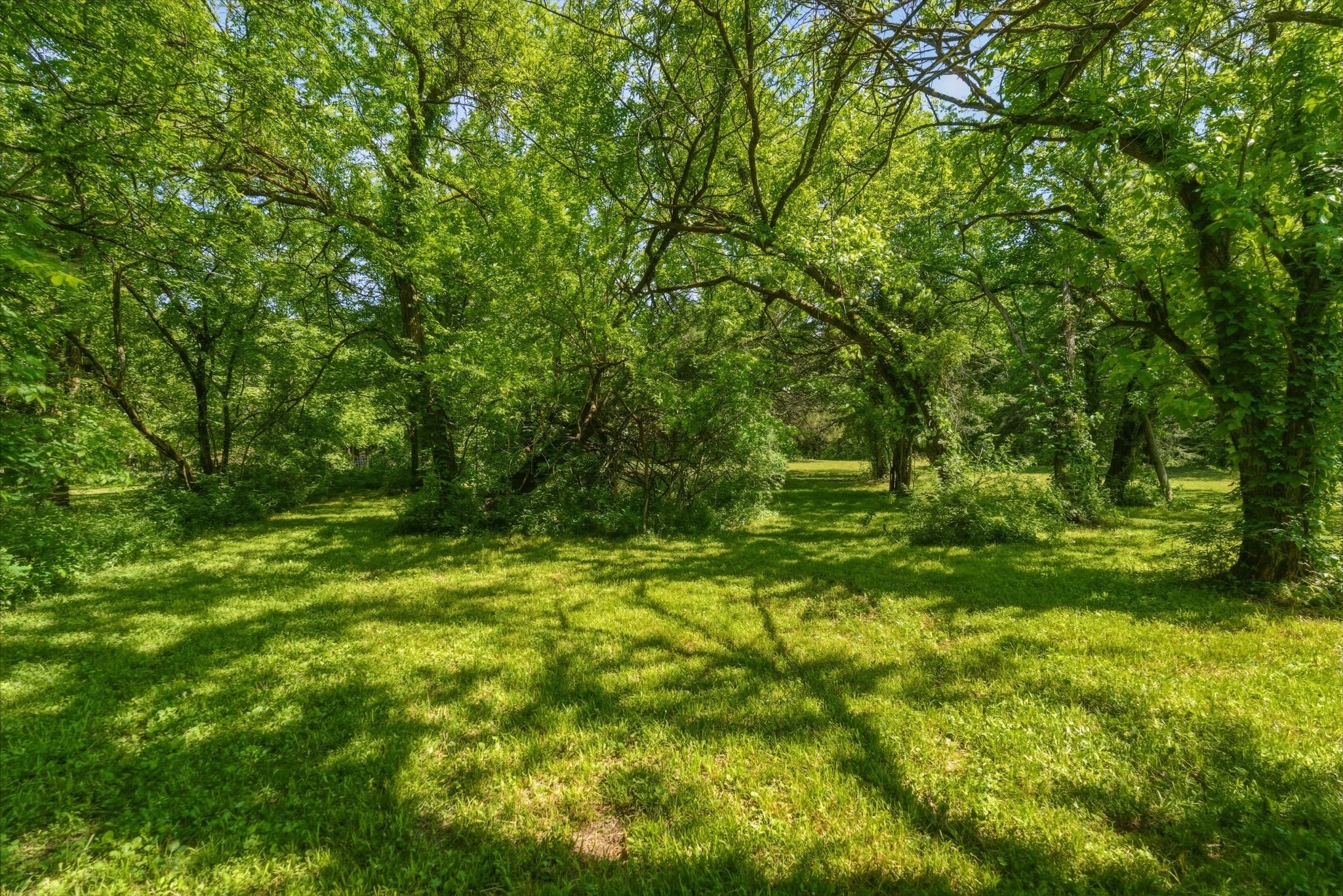 13535 Versailles Road Rockvale, TN 37153 - Photo 32 of 47