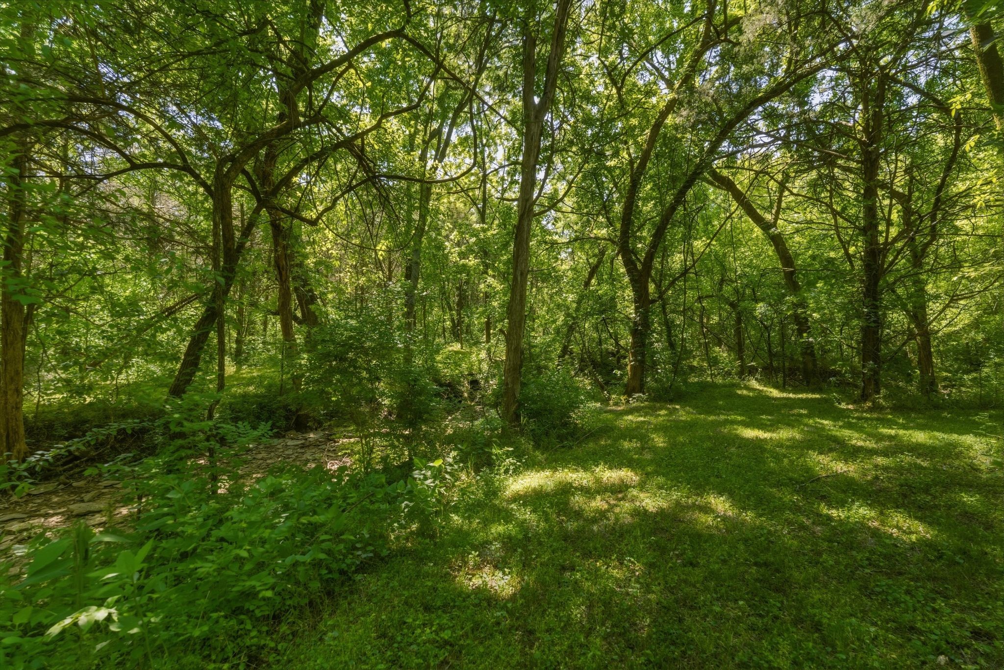 13535 Versailles Road Rockvale, TN 37153 - Photo 33 of 47