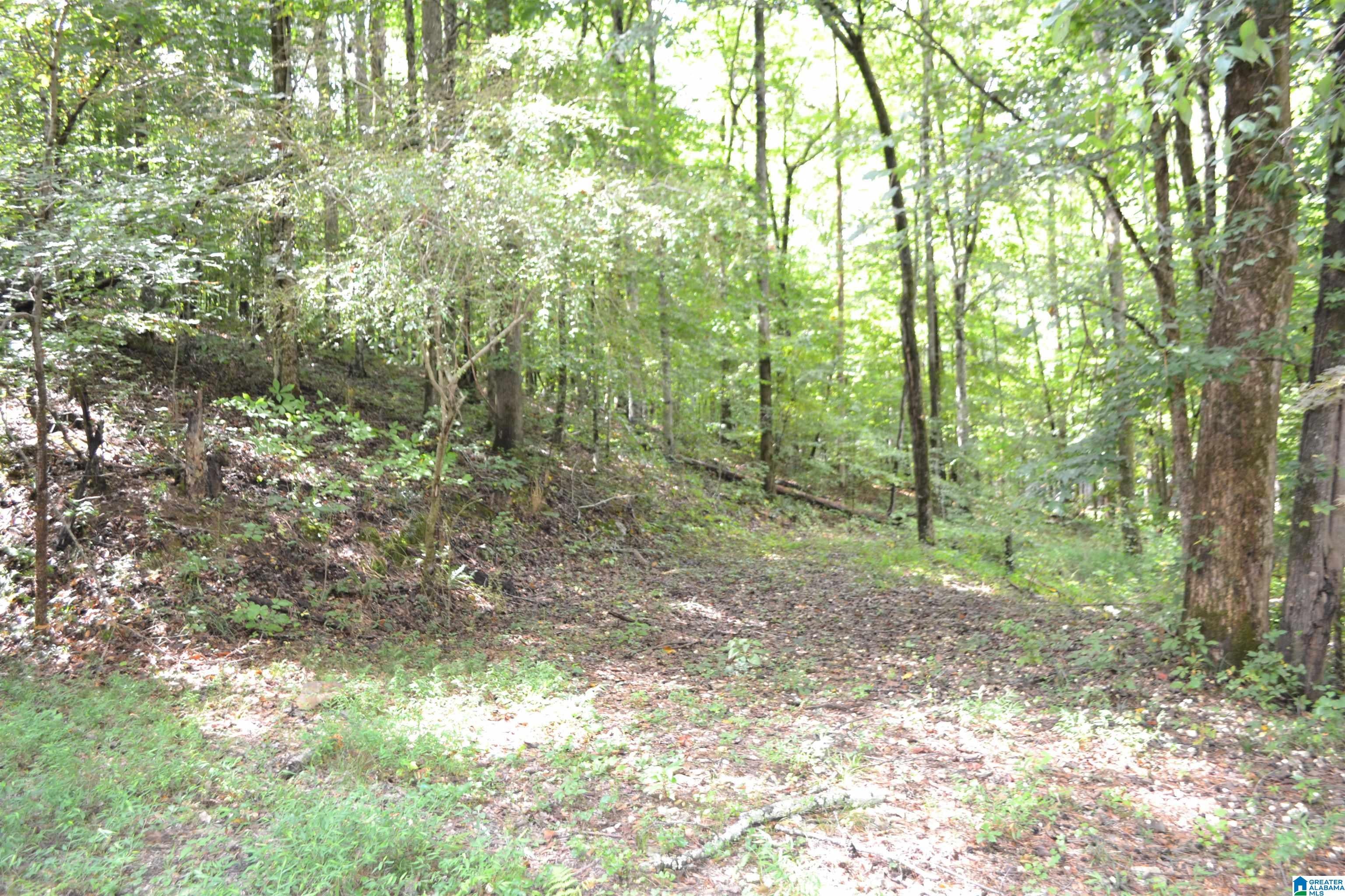 1002 Cheaha Road Munford, AL 36268 - Photo 73 of 76 Gallery Image 73
