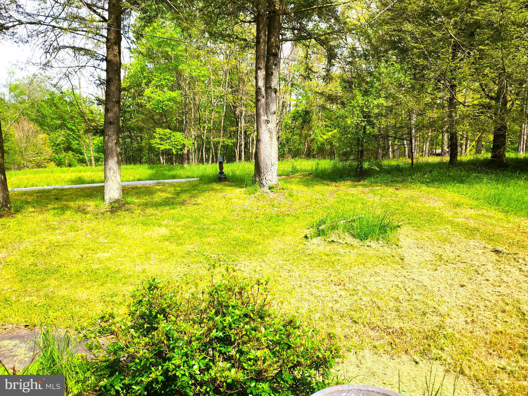 1634 Shady Dell Road Oakland, MD 21550 - Photo 3 of 48 Front Yard