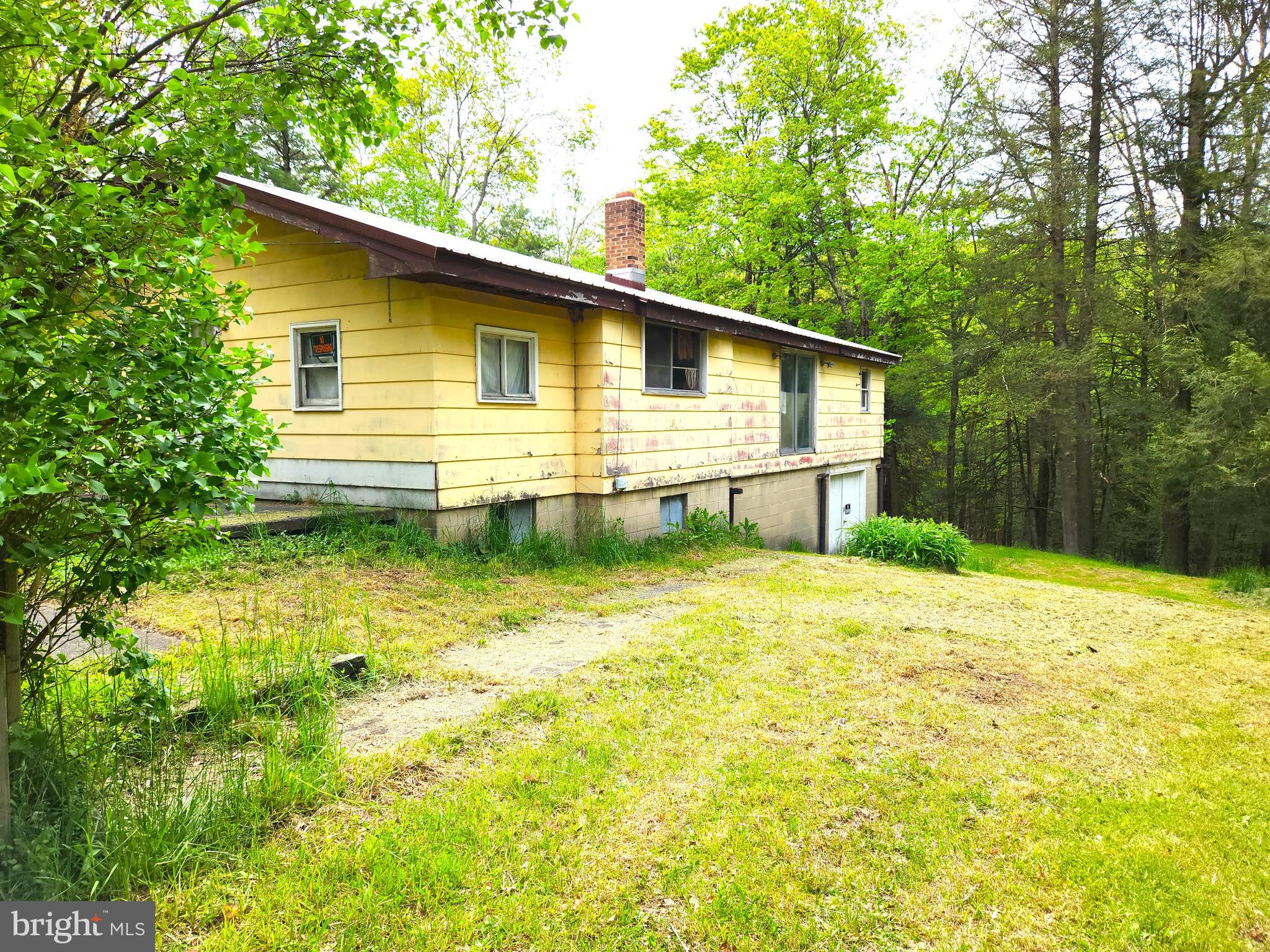 1634 Shady Dell Road Oakland, MD 21550 - Photo 5 of 48 Side Yard