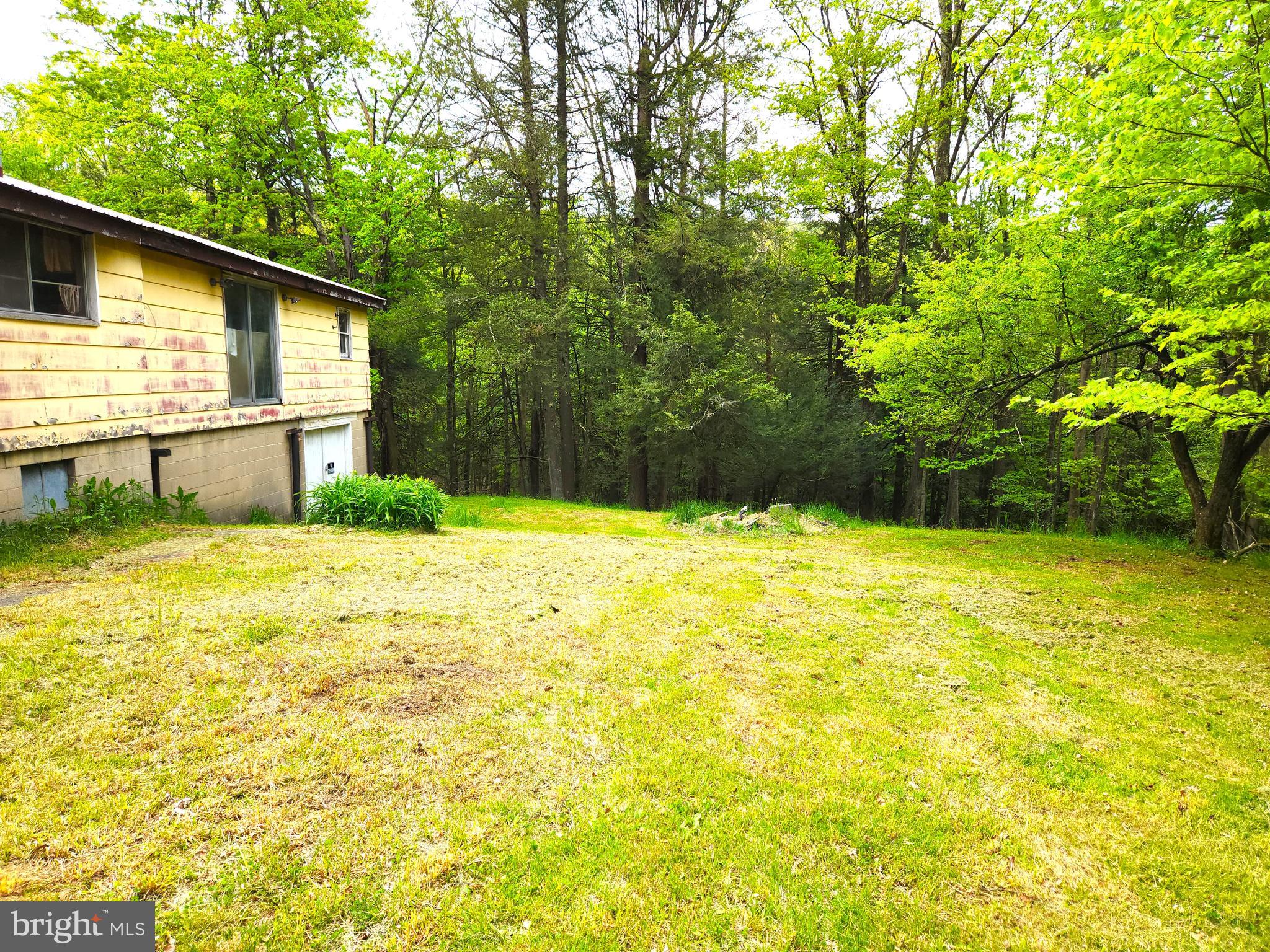 1634 Shady Dell Road Oakland, MD 21550 - Photo 6 of 48 Side Yard