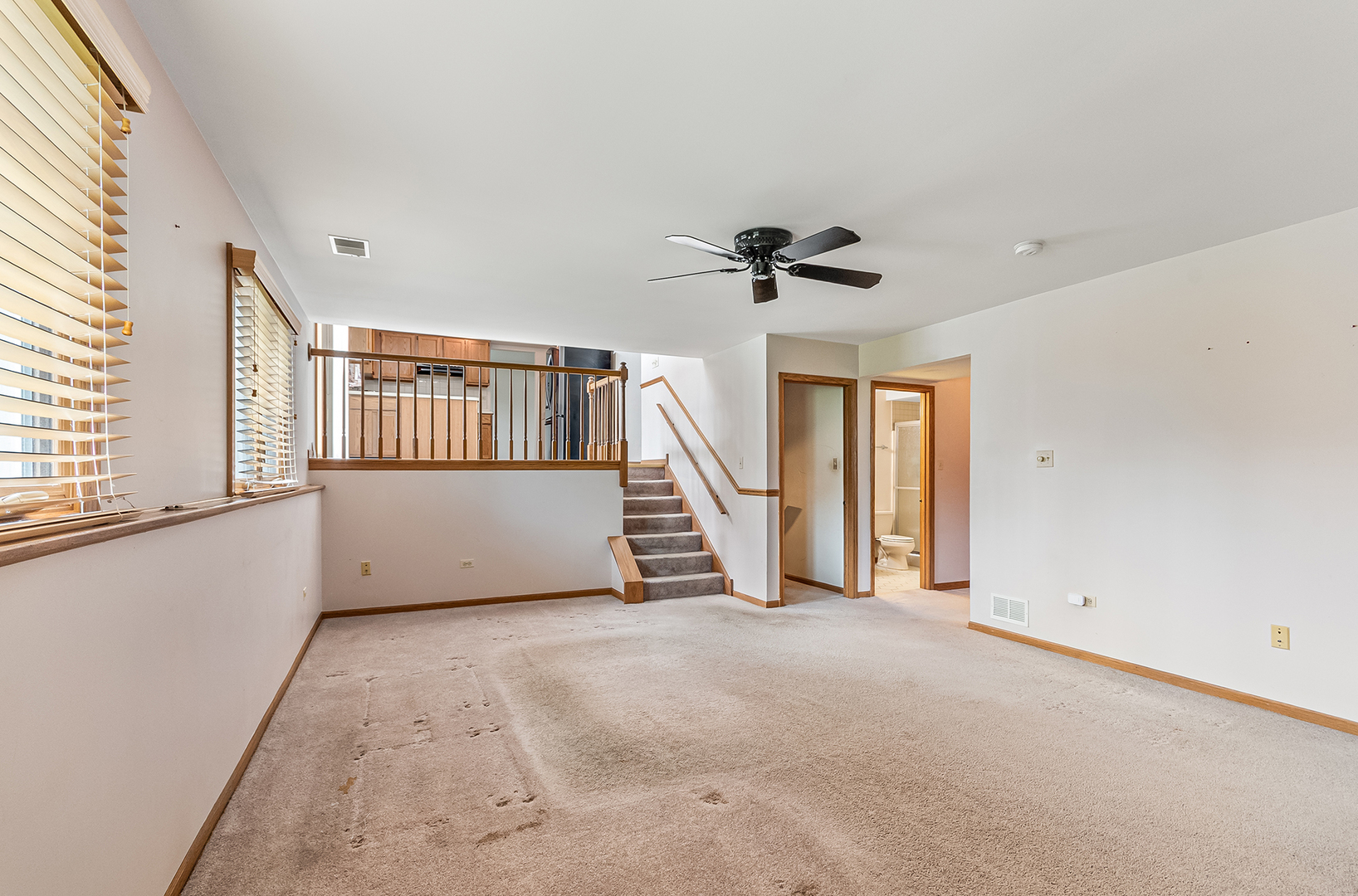 891 Young Street Lemont, IL 60439 - Photo 11 of 23