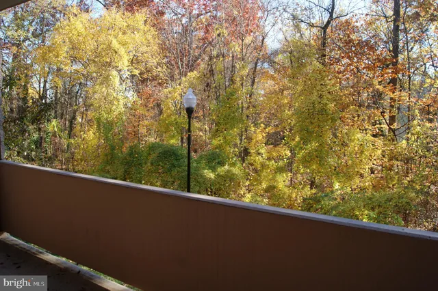 a view of trees from a window