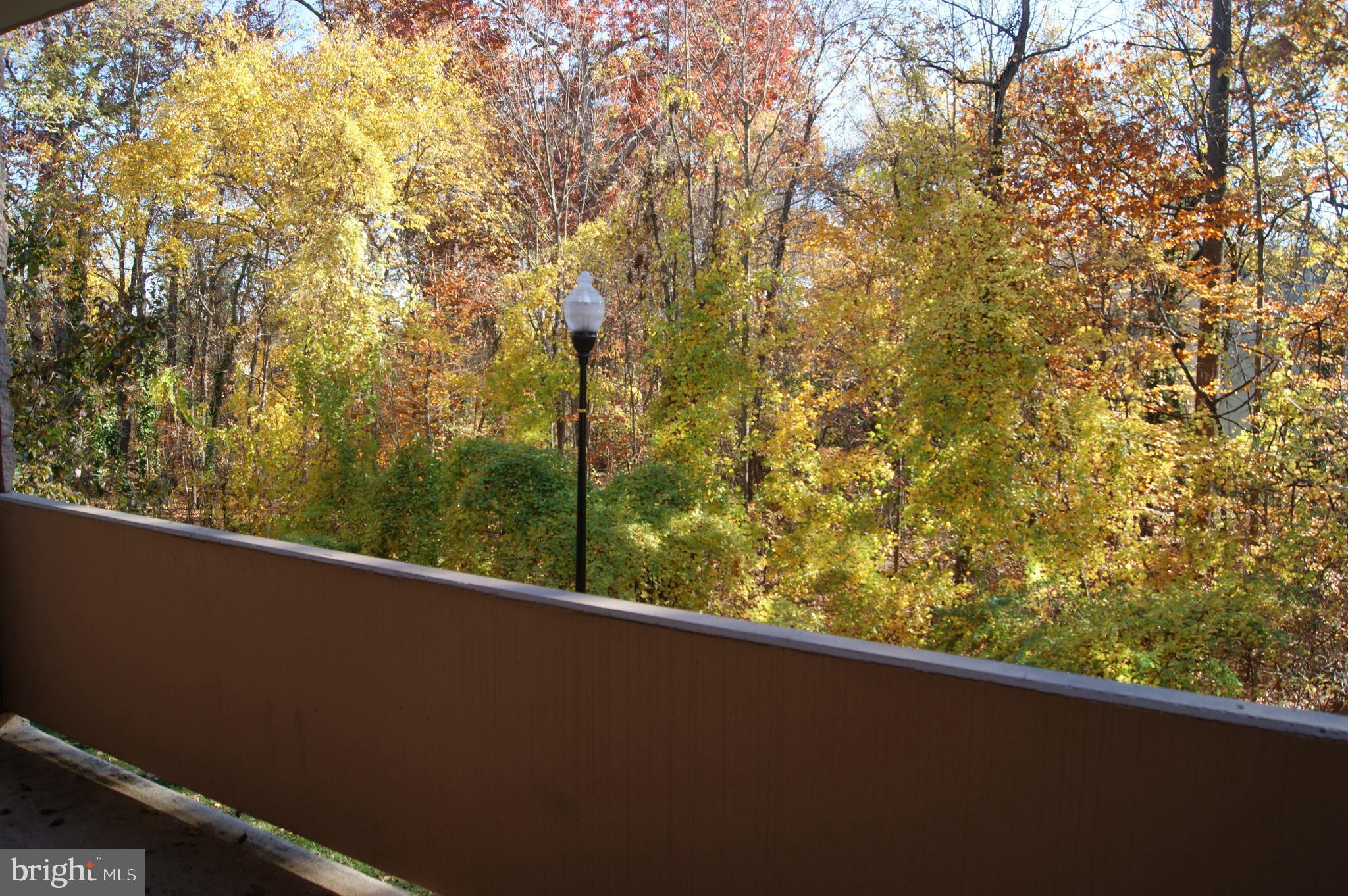 2901 Fallstaff Road, Unit 205 Baltimore, MD 21209 - Photo 21 of 24 a view of a forest from a window
