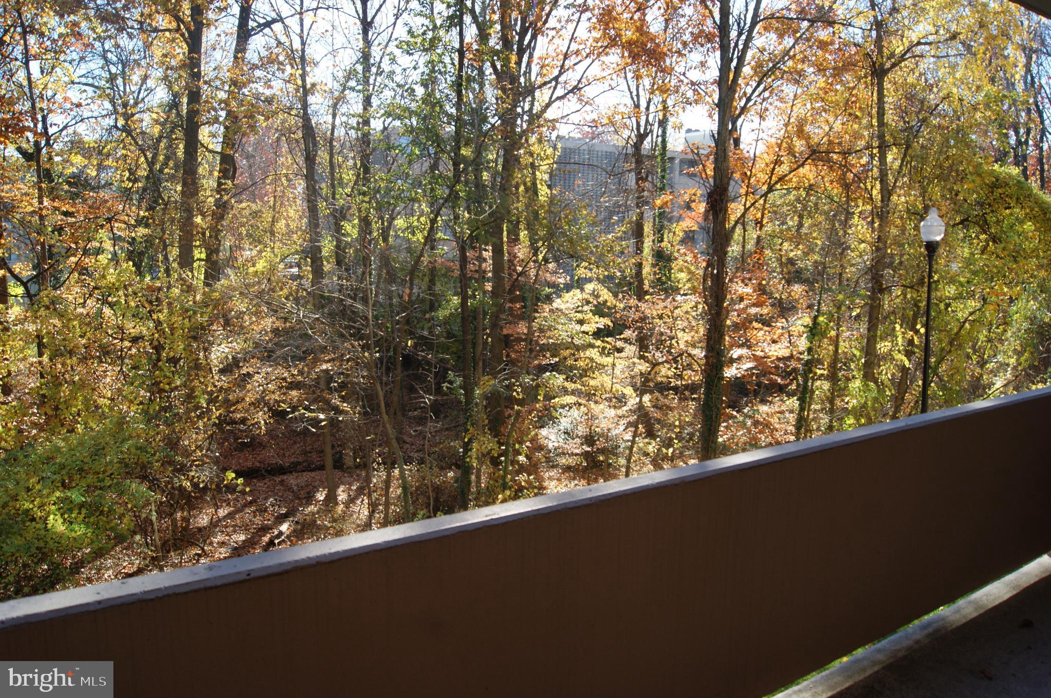 2901 Fallstaff Road, Unit 205 Baltimore, MD 21209 - Photo 22 of 24 a view of trees from a window