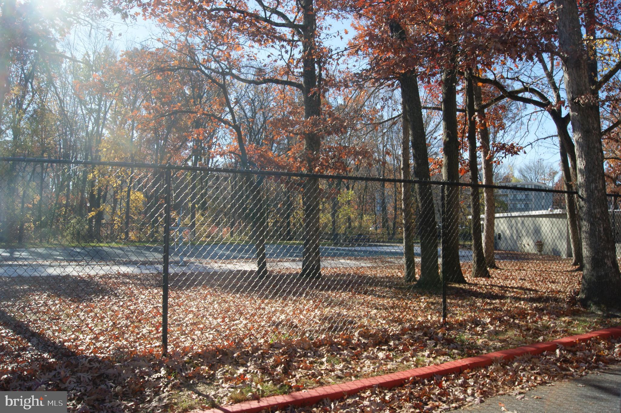 2901 Fallstaff Road, Unit 205 Baltimore, MD 21209 - Photo 24 of 24 a view of a park with a tree